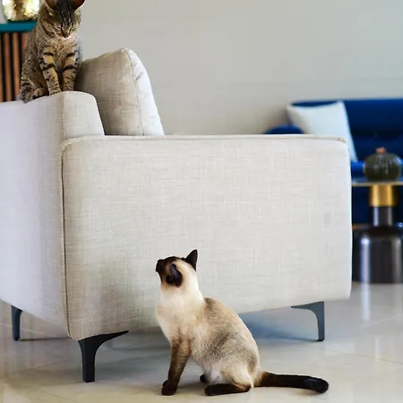 ホテル Orb Sarandë